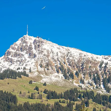 Kitz - Steuerberg Xl Ξενοδοχείο