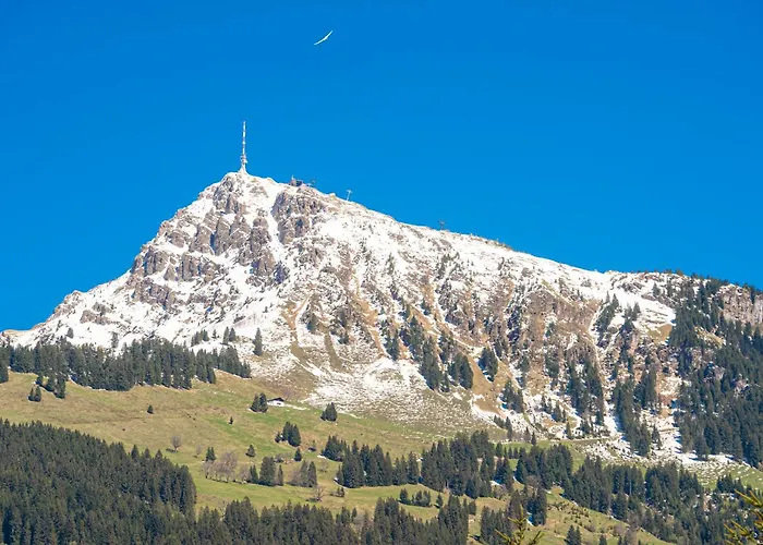 Kitz - Steuerberg Hotel