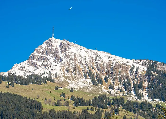 Otel Kitz - Steuerberg